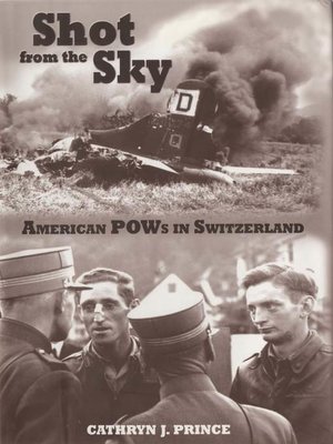 cover image of Shot from the Sky